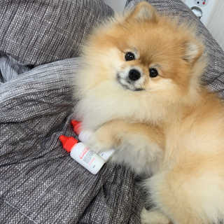 이하린님이 올린 리뷰 사진 1