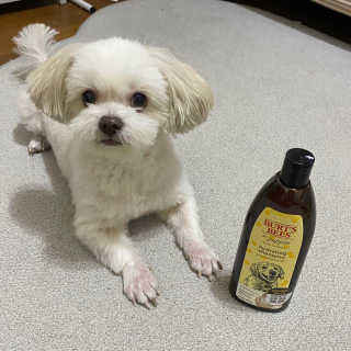 쫑구리님이 올린 리뷰 사진 2