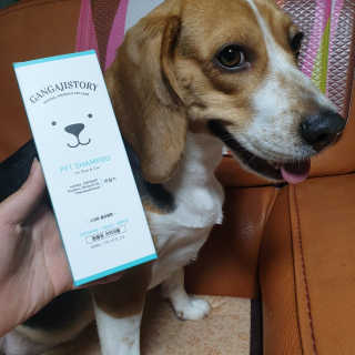beaglelove님이 올린 리뷰 사진 1