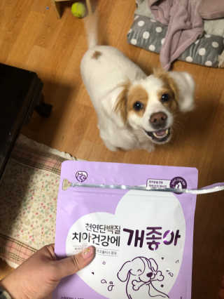 My Pet Care 천연단백질 치아건강에 개좋아 — 5점을 준 리뷰어가 2020년 11월 올린 사용 사진