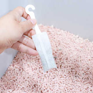 2019yaap님이 올린 리뷰 사진 4