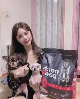 노스포 그레인프리 캐나다사료 — 5점을 준 리뷰어가 2020년 8월 올린 사용 사진