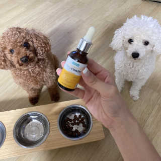 리뷰크러쉬님이 올린 리뷰 사진 3