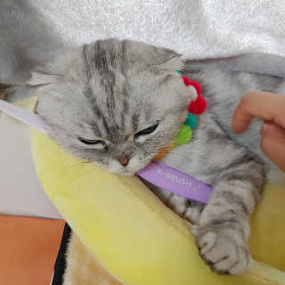 유햐님이 올린 리뷰 사진 2