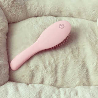 아이캔디 레인보우 볼륨S  브러쉬 for PET 미디엄 — 5점을 준 리뷰어가 2020년 11월 올린 사용 사진