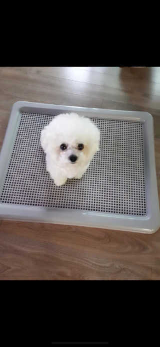 류하님이 올린 리뷰 사진 1