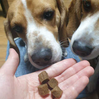 My Pet Care 천연단백질 관절건강에 개좋아 — 5점을 준 리뷰어가 2020년 11월 올린 사용 사진