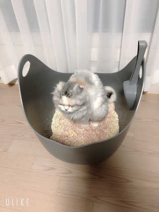 거니맘님이 올린 리뷰 사진 3
