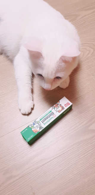 대박이님이 올린 리뷰 사진 1