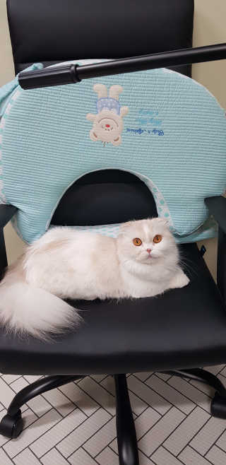 HarinKim님이 올린 리뷰 사진 3