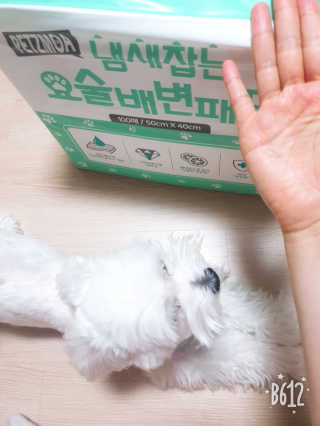 바이에이미님이 올린 리뷰 사진 3