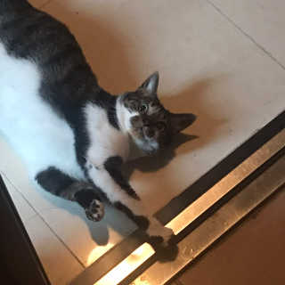 다니당근님이 올린 리뷰 사진 1
