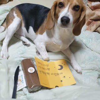 beaglelove님이 올린 리뷰 사진 2