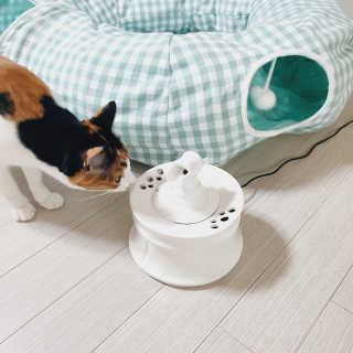 LoveLoveNa님이 올린 리뷰 사진 3
