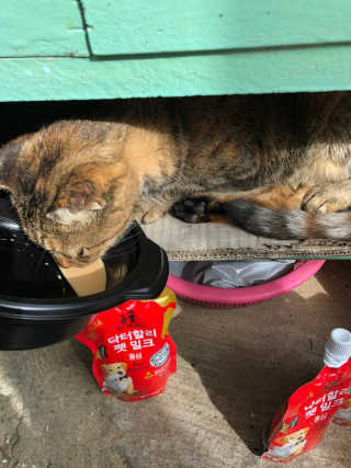 유영경님이 올린 리뷰 사진 3