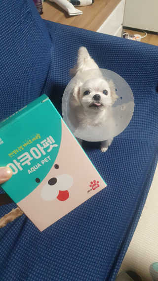 펫시랩 반려견용 액상 프리바이오틱스 아쿠아펫 — 2점을 준 리뷰어가 2020년 12월 올린 사용 사진