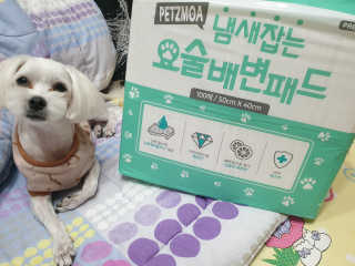 삐랭이님이 올린 리뷰 사진 1