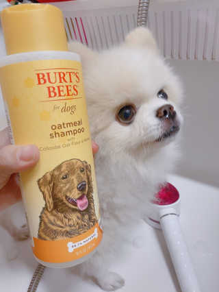 리디아은서님이 올린 리뷰 사진 1