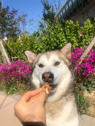 하시모님이 올린 리뷰 사진 3