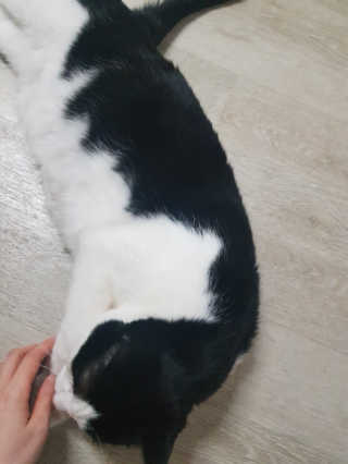홍시님이 올린 리뷰 사진 2