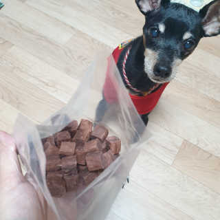 My Pet Care 천연단백질 눈건강에 개좋아 — 5점을 준 리뷰어가 2020년 11월 올린 사용 사진