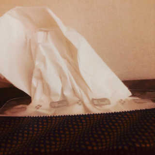 잘풀리는집 부드러운 모이스처 보습 미용 티슈 230매 — 5점을 준 리뷰어가 2020년 9월 올린 사용 사진