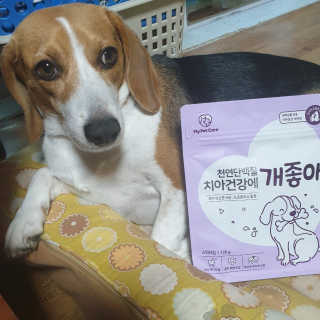 My Pet Care 천연단백질 치아건강에 개좋아 — 5점을 준 리뷰어가 2020년 11월 올린 사용 사진