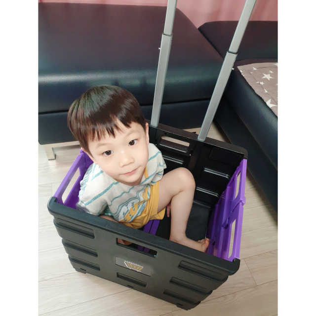 접이식 쇼핑 캠핑 장바구니 캐리어 베니 핸드 카트 리뷰 사진