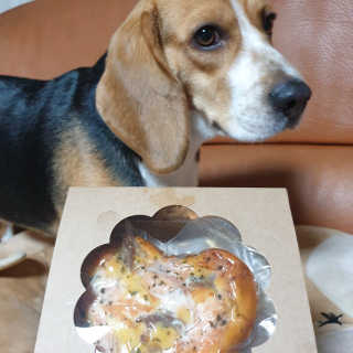 beaglelove님이 올린 리뷰 사진 1