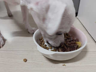으니부기님이 올린 리뷰 사진 3