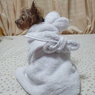 솜희님이 올린 리뷰 사진 4