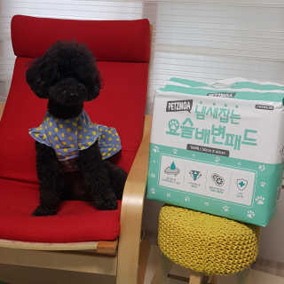 쿠키님이 올린 리뷰 사진 3
