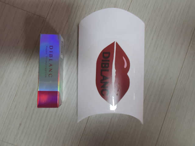디블랑 비건 플럼핑스틱 리뷰 사진