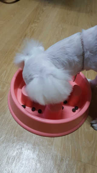 미진냥님이 올린 리뷰 사진 4