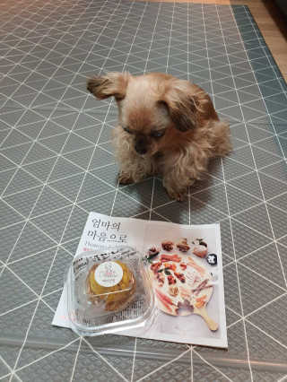 짱가엄마님이 올린 리뷰 사진 2