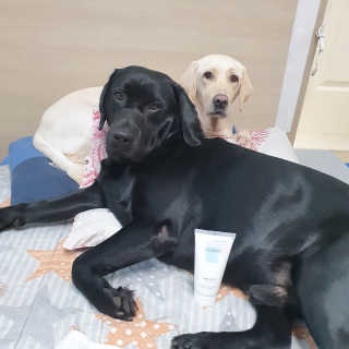 Lilly❤️님이 올린 리뷰 사진 3