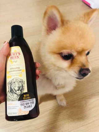 버츠비 케어플러스 릴리빙 컨디셔너_카모마일,로즈마리 — 4.5점을 준 리뷰어가 2020년 8월 올린 사용 사진