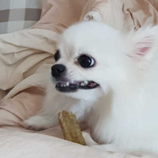 비니비니님이 올린 리뷰 사진 4