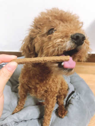 My Pet Care 천연단백질 치아건강에 개좋아 — 5점을 준 리뷰어가 2020년 12월 올린 사용 사진