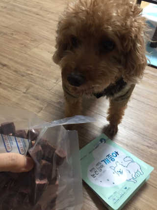 My Pet Care 천연단백질 눈건강에 개좋아 — 5점을 준 리뷰어가 2020년 12월 올린 사용 사진