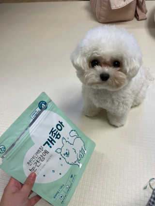 My Pet Care 천연단백질 눈건강에 개좋아 — 4.5점을 준 리뷰어가 2020년 12월 올린 사용 사진