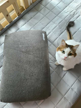 김재이님이 올린 리뷰 사진 1