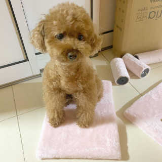 뚜루님이 올린 리뷰 사진 3