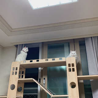 례진님이 올린 리뷰 사진 1