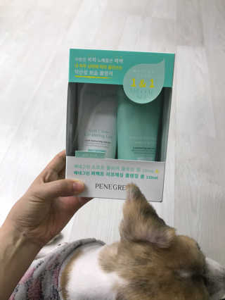 와플이네님이 올린 리뷰 사진 2