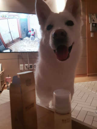 딸랑구둘🥰님이 올린 리뷰 사진 3