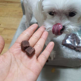 My Pet Care 천연단백질 눈건강에 개좋아 — 5점을 준 리뷰어가 2020년 12월 올린 사용 사진
