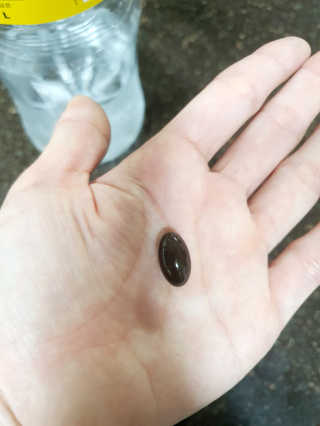 레옹맘님이 올린 리뷰 사진 3