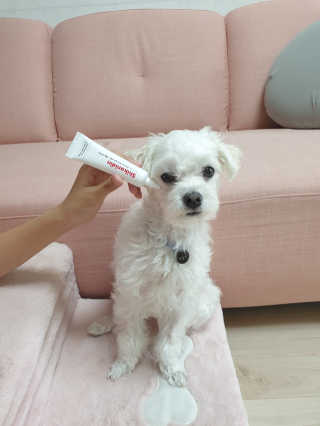 [자유펫] 시코니딘 고양이 강아지 피부 보습 연고 20g — 4점을 준 리뷰어가 2020년 7월 올린 사용 사진
