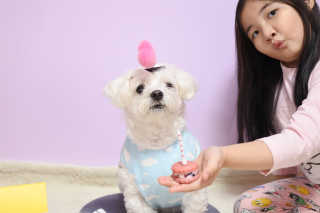 🍑여신🇰🇷샤🎀맘🍑님이 올린 리뷰 사진 1